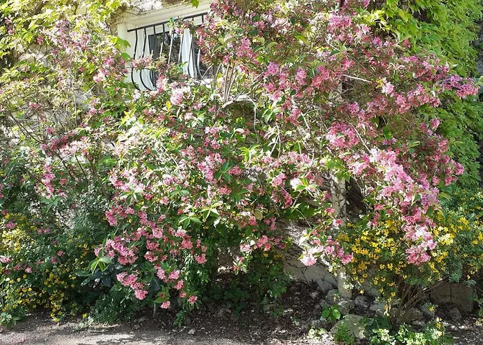Affittacamere La Bergerie Lagarrigue (Tarn)